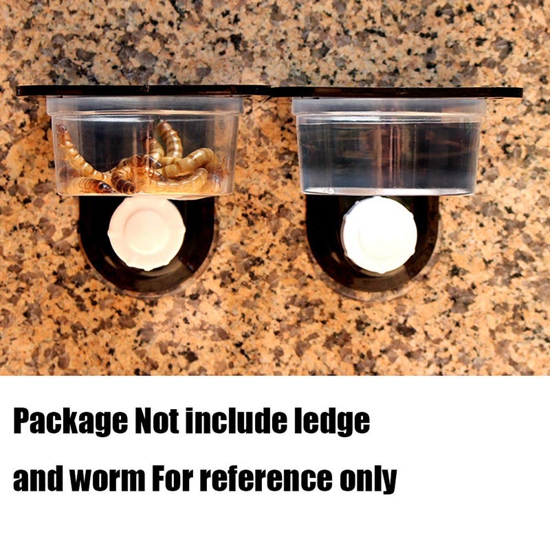 YOGURTCK 100pcs Crested Gecko Feeding Cups Reptile Feeder Bowls for Putting in Water and Food, Fit Lizard and Other Small Animals Pet Supplies 0.5oz - Image 2